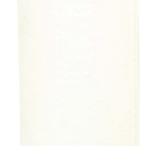 Filtre Fleetguard AF1966