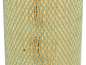 Filtre Fleetguard AF25526