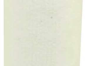 Filtre Fleetguard AF25558