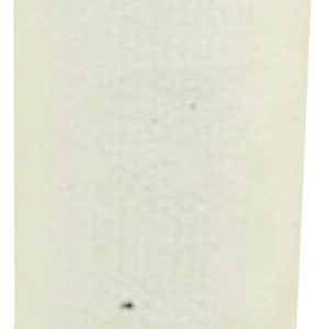 Filtre Fleetguard AF25558