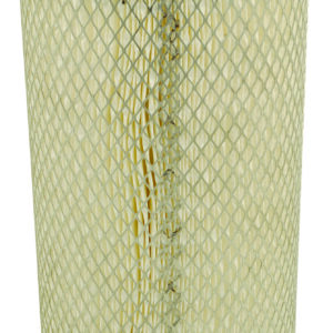 Filtre Fleetguard AF4856M