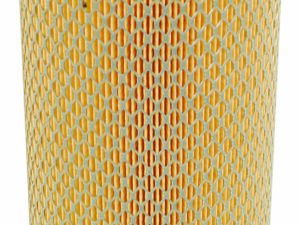 Filtre Fleetguard AF4994