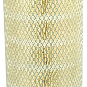 Filtre Fleetguard AF1641