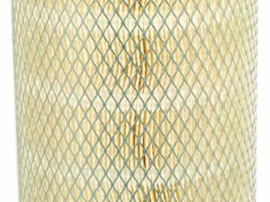 Filtre Fleetguard AF1641