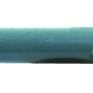 B de P. renf.=1660050