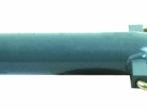 B de P. renf.=1660050