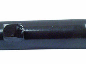 B de P 25×25 = MF893438