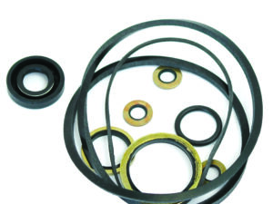 Kit joints pompe dir_ 1810529M91