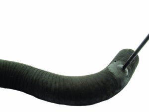 Durite de filtre à air