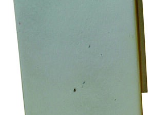 Panneau avant bas droit de capot