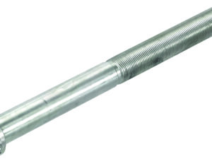 Pignon à queue=897650