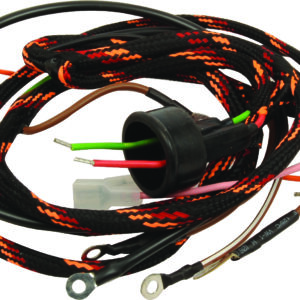 Faisceau électrique