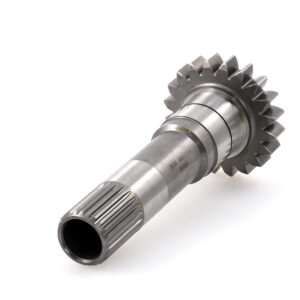 Arbre prim./PDF/MF/3/42/4300