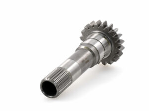 Arbre prim./PDF/MF/3/42/4300