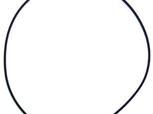 Joint torique piston de frein externe