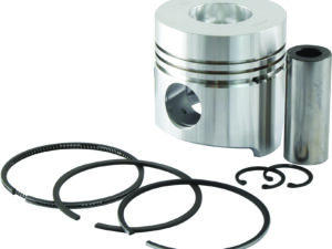 Piston & segments
