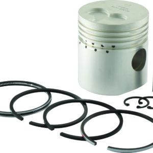 Piston & segments
