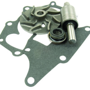 Kit réparation pompe à eau poulie 2 gorges.