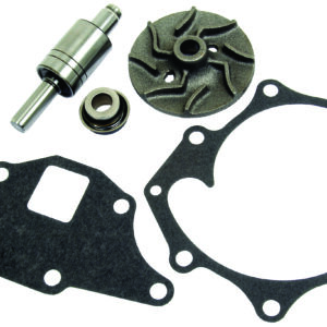 Kit réparation pompe à eau poulie 2 gorges.