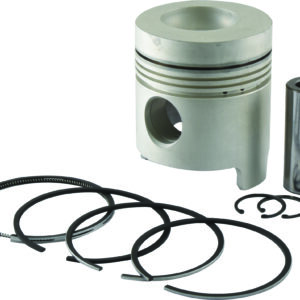 Piston & segments