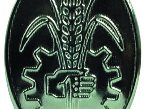 Emblême haut de calandre