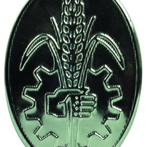 Emblême haut de calandre