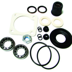 Direction GEAR SEAL & BRG KIT