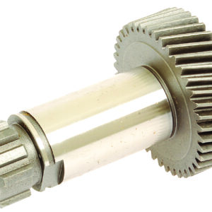 Pignon de distribution