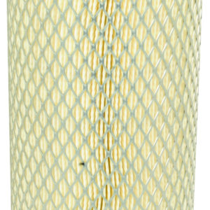 Filtre Fleetguard AF4568