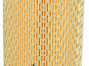 Filtre Fleetguard AF1859