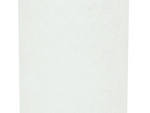 Filtre Fleetguard AF1687