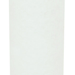 Filtre Fleetguard AF1687