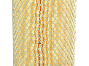 Filtre Fleetguard AF490M