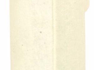 Filtre Fleetguard AF25434